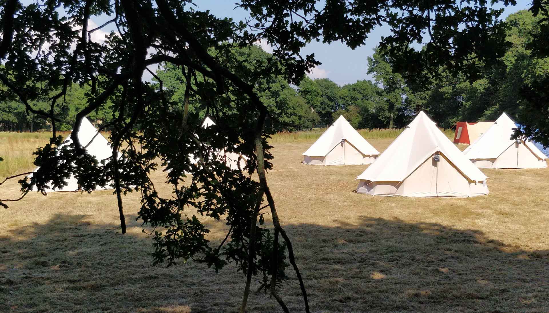 Glamping & Camping For Your Guests At Little Oak Farm Sussex